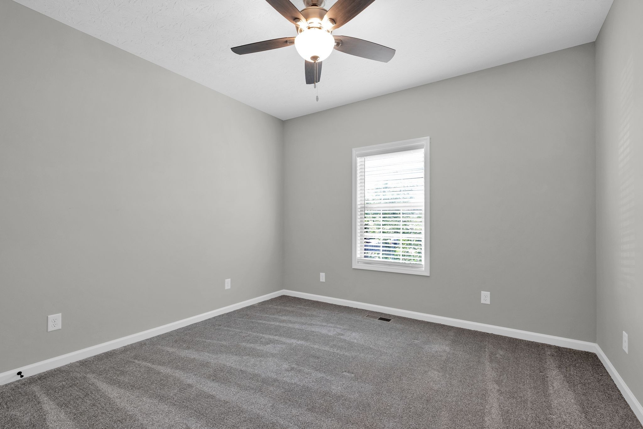 210 Hollow Tree Cir