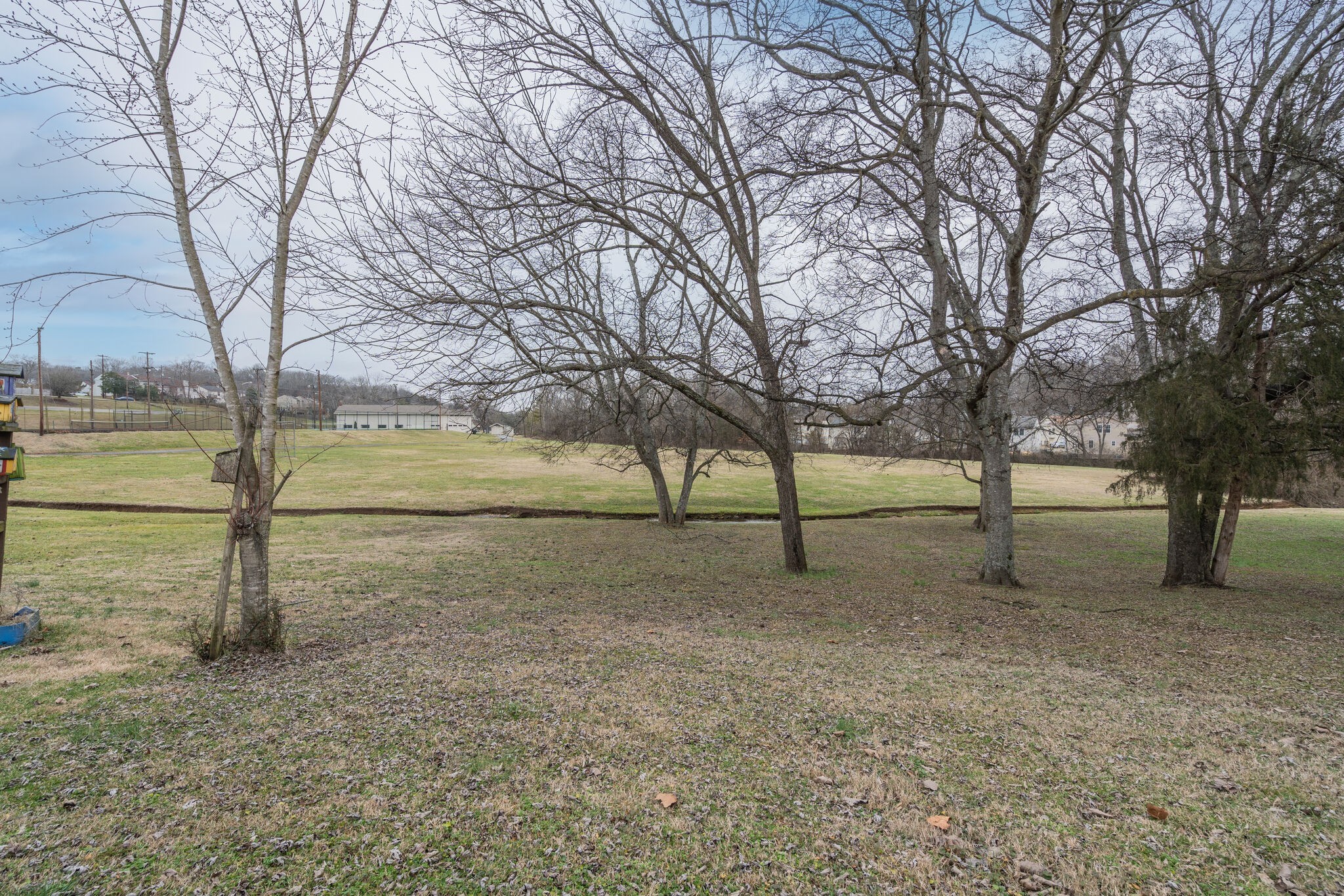 221 Cherry Hill Dr