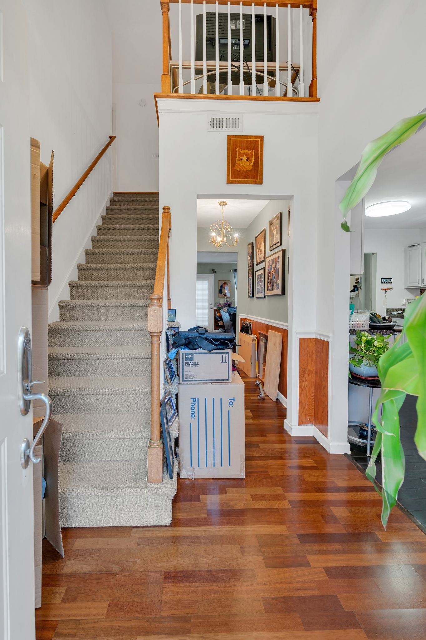 8616 Sawyer Brown Rd