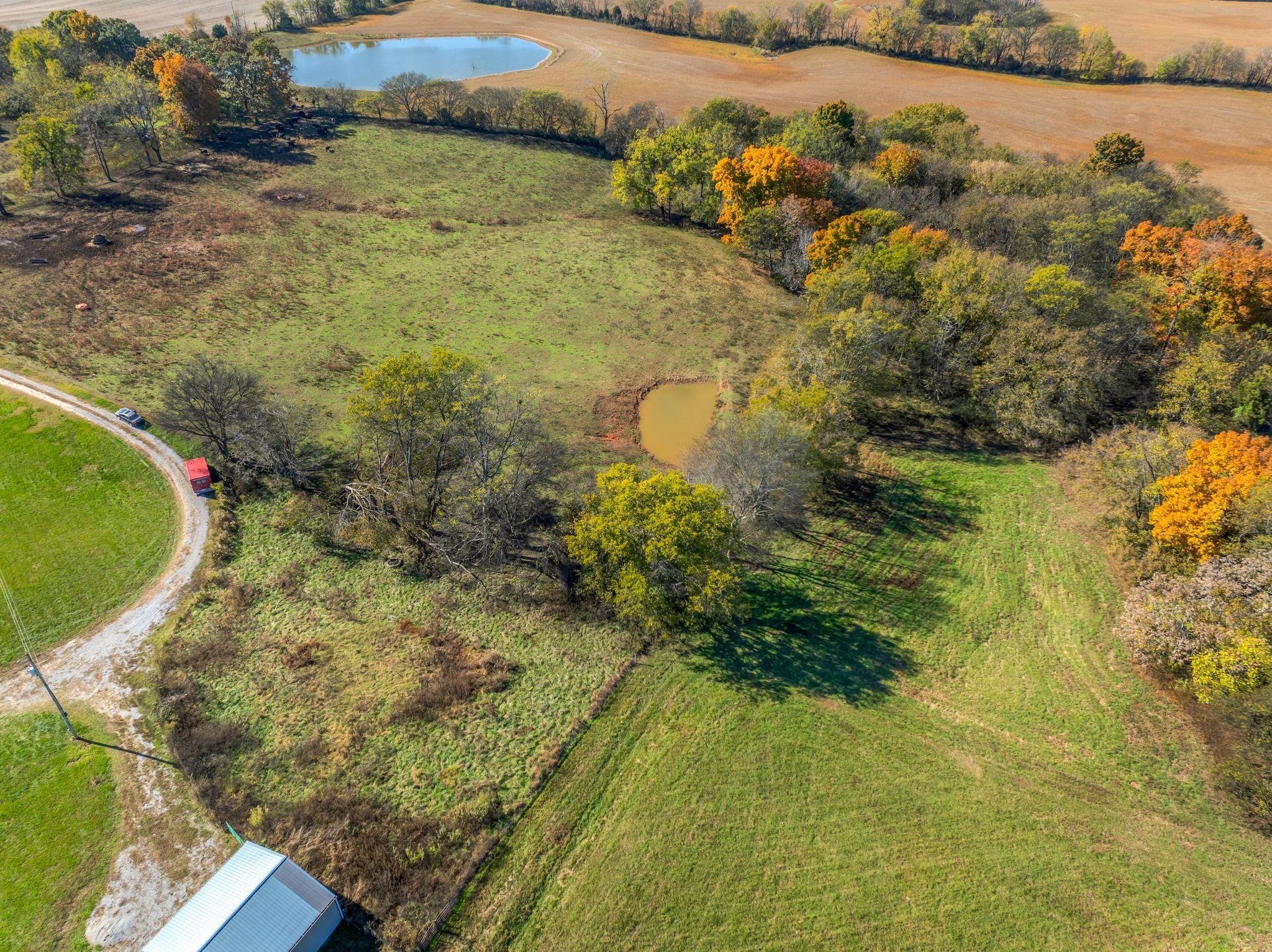 5440 Eugene Kennedy Ln