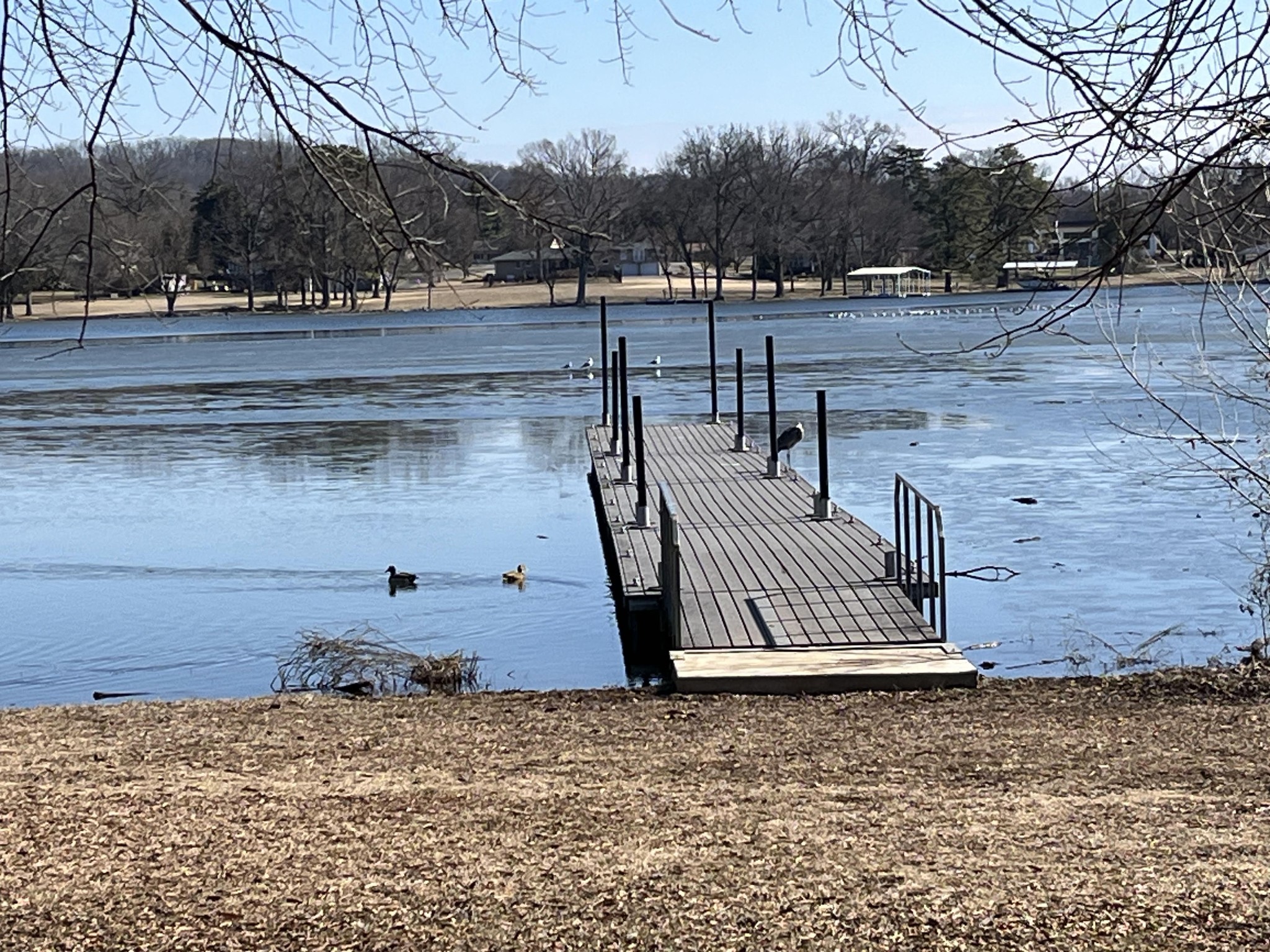 250 Sanders Ferry Rd Unit: 21