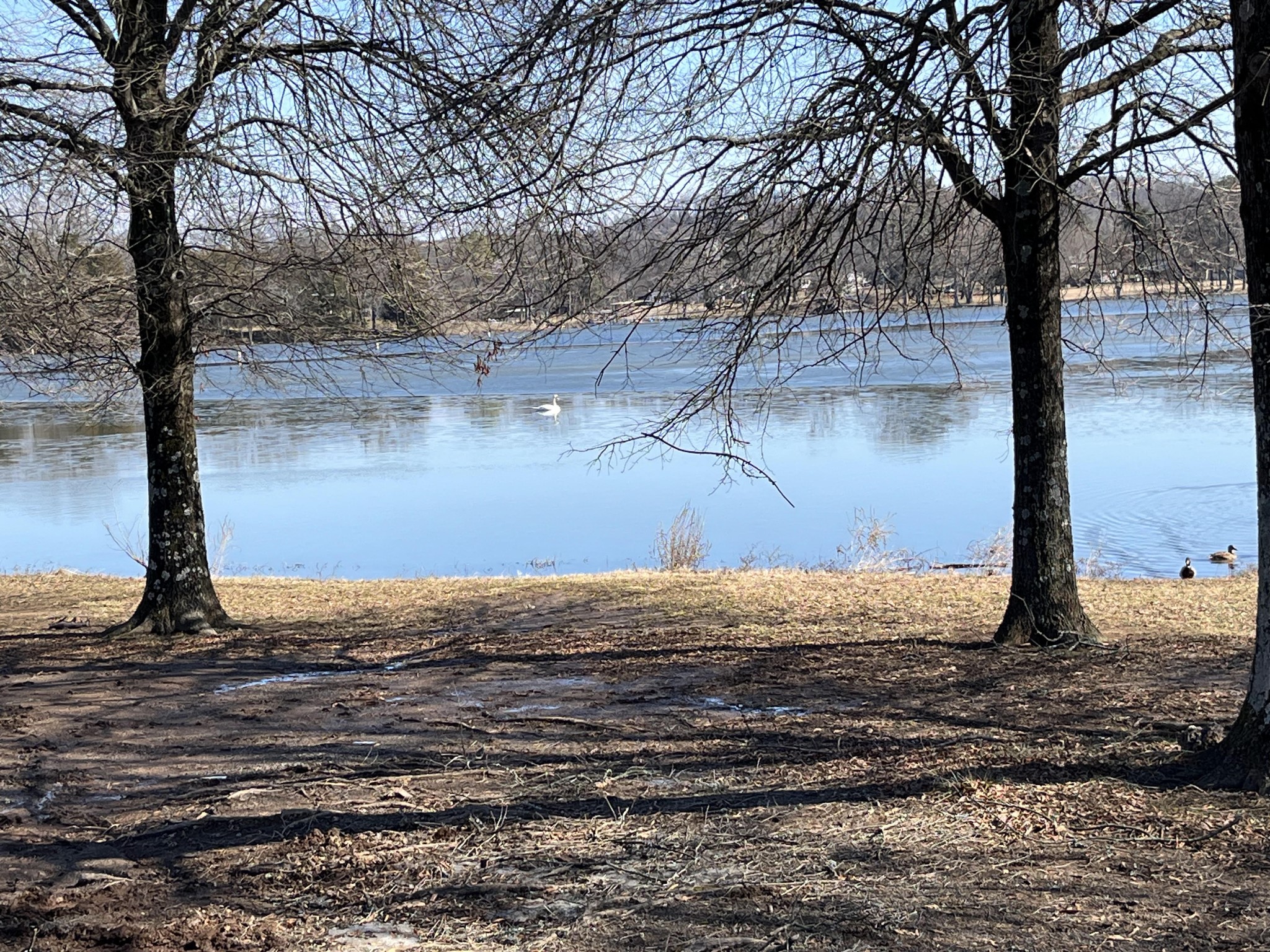 250 Sanders Ferry Rd Unit: 21