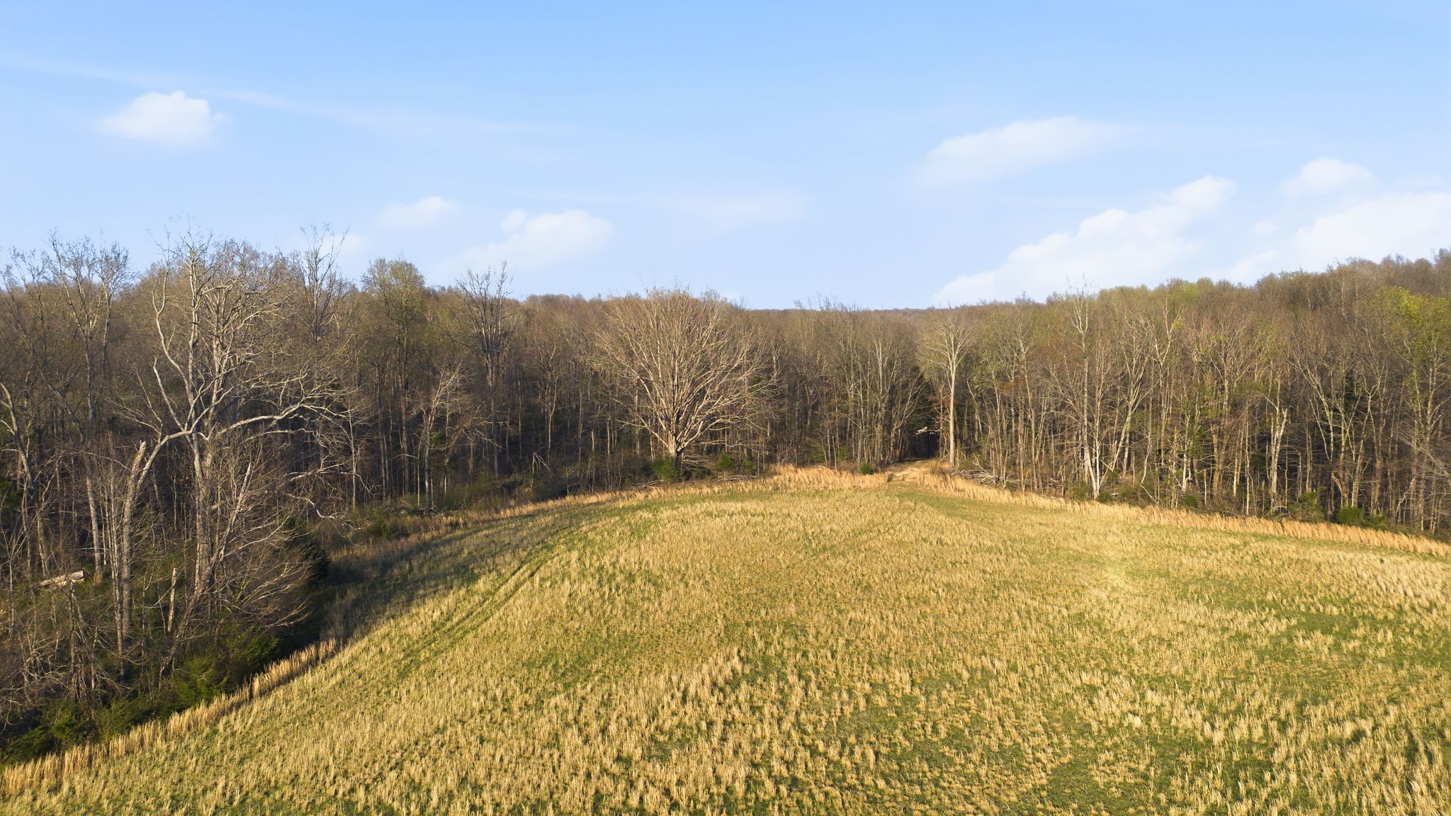 2414 Slayden Marion Rd NE