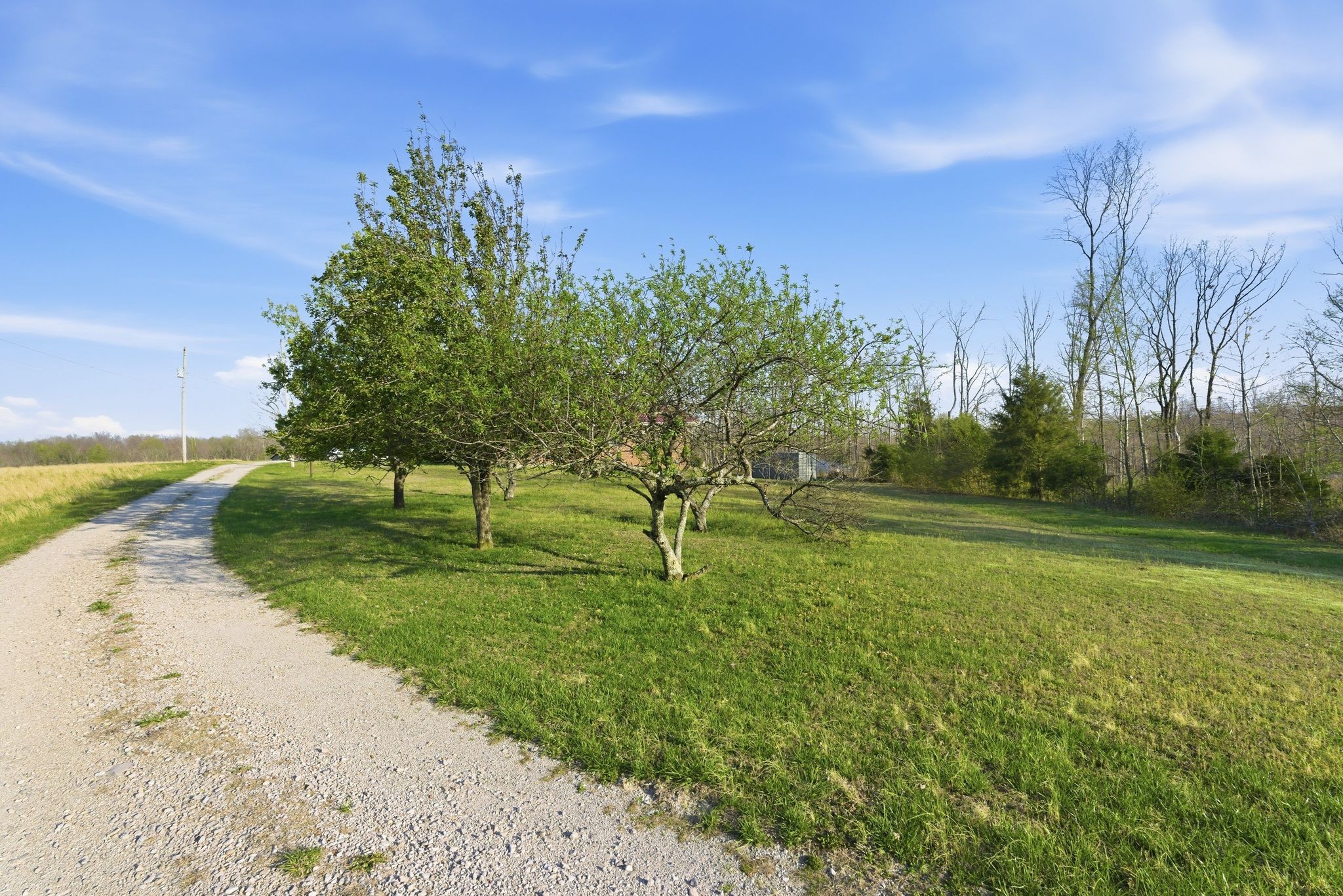 2414 Slayden Marion Rd NE