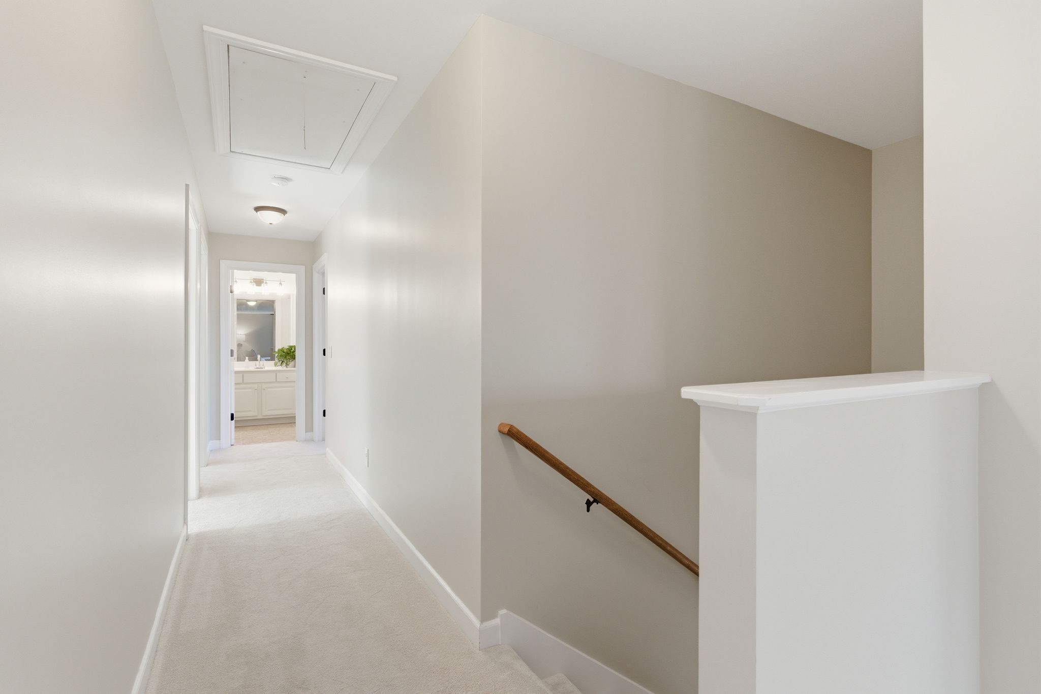 1011 Five Coves Trce