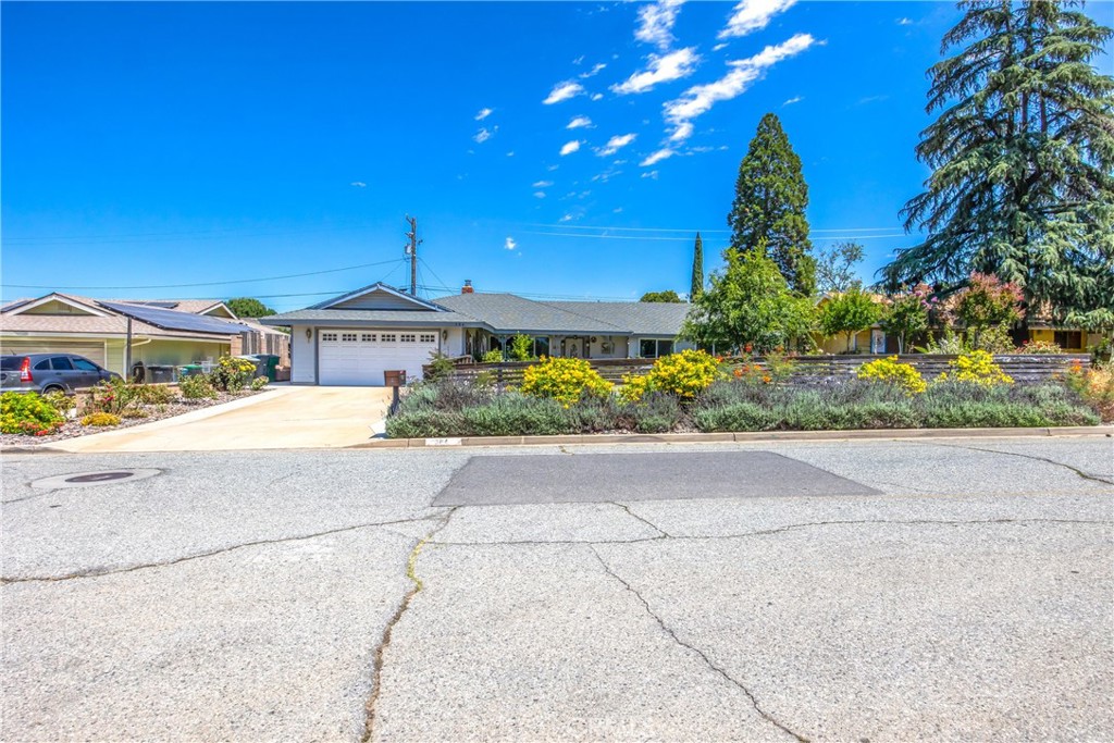 384 Sandalwood Drive