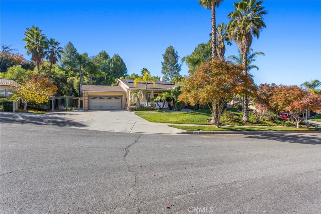 1388 Brandon Court
