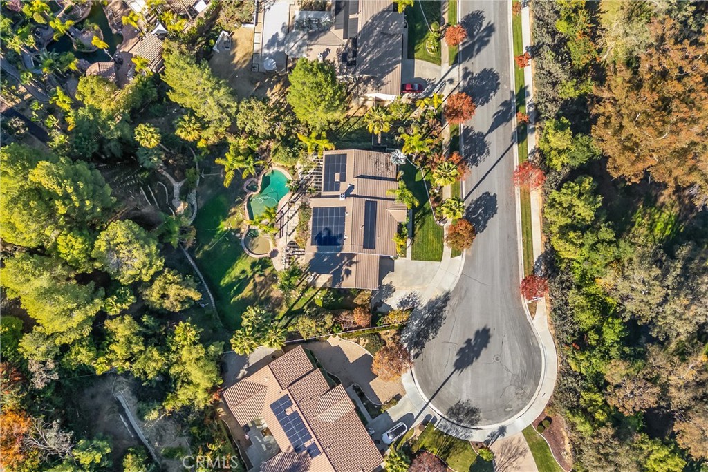 1388 Brandon Court