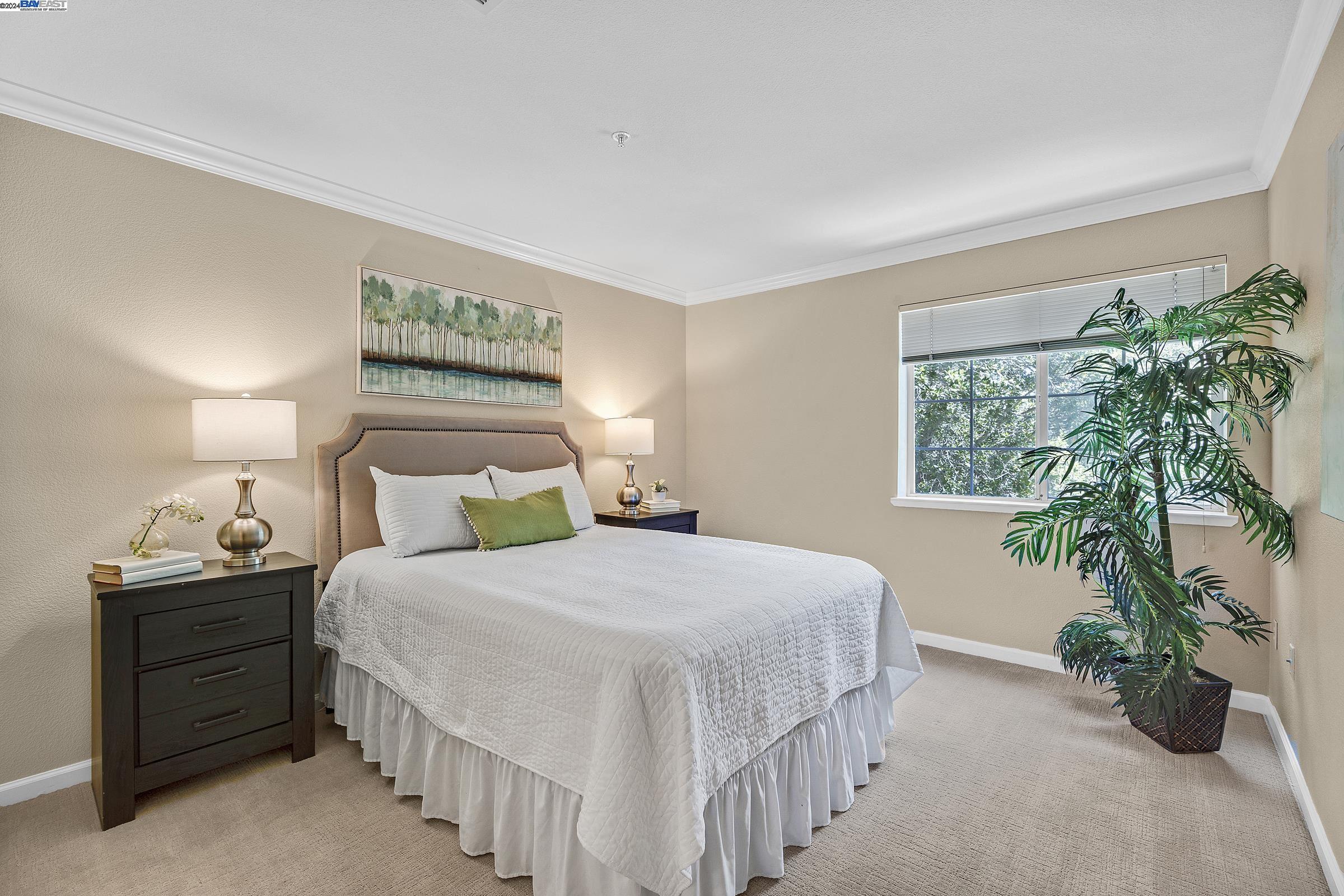 210 Stonepine Lane