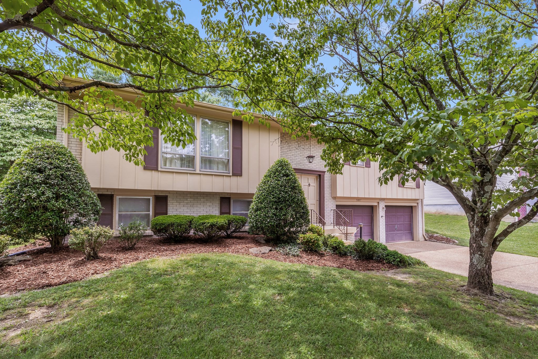 5007 Olivia Dr