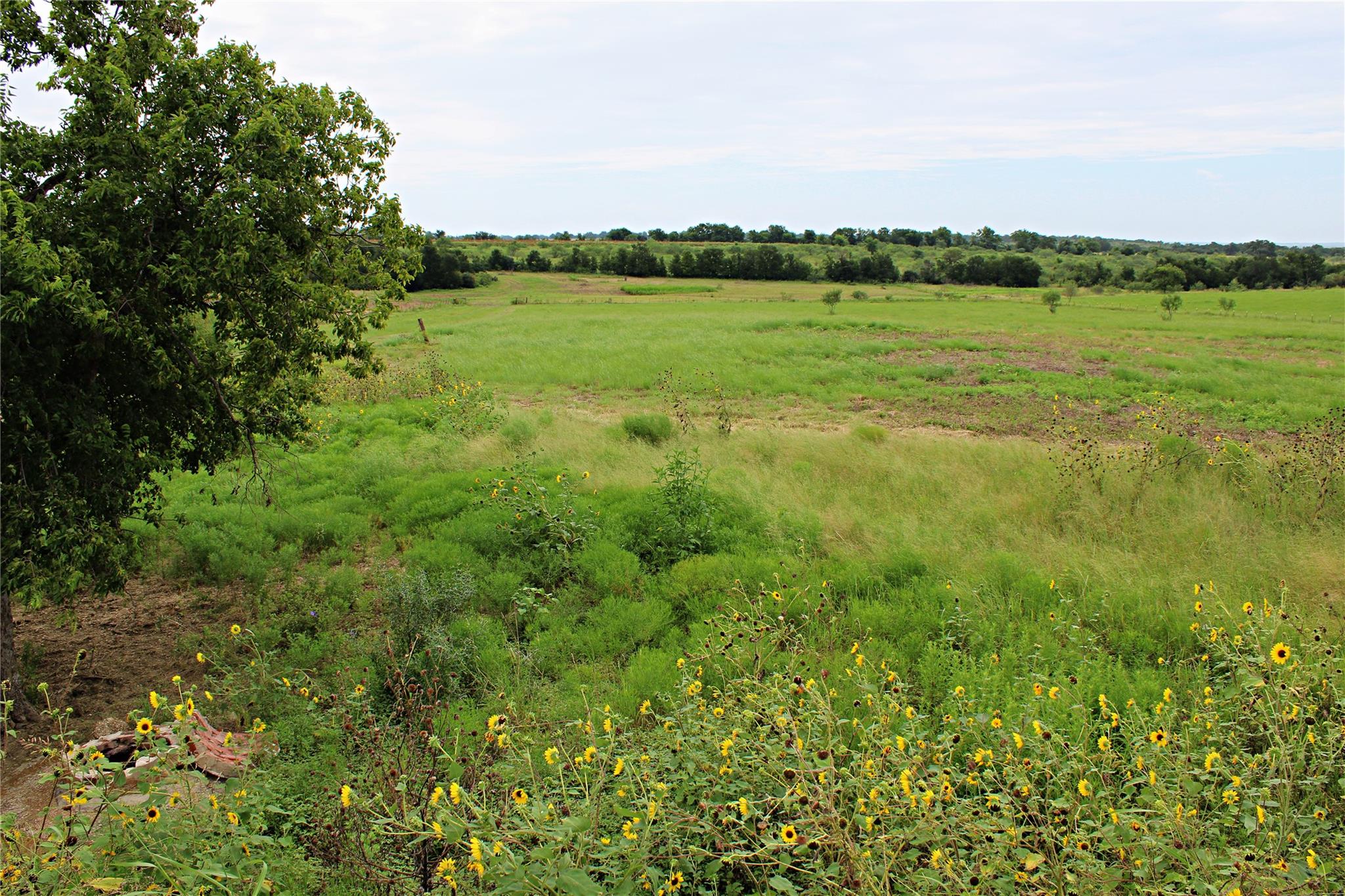 401 County Road 213
