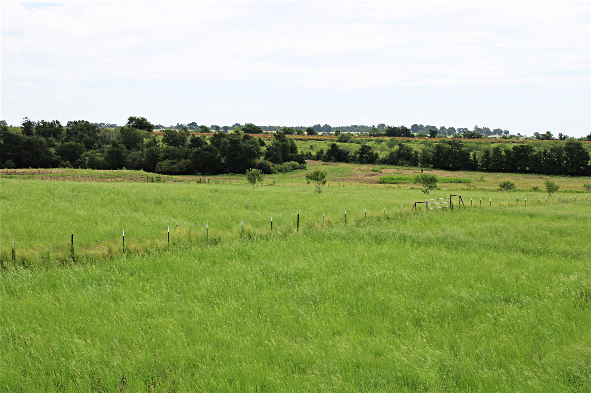 401 County Road 213