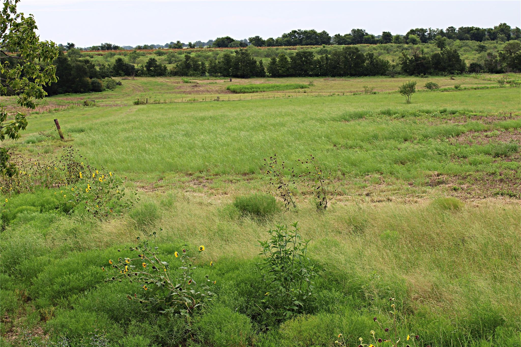 401 County Road 213
