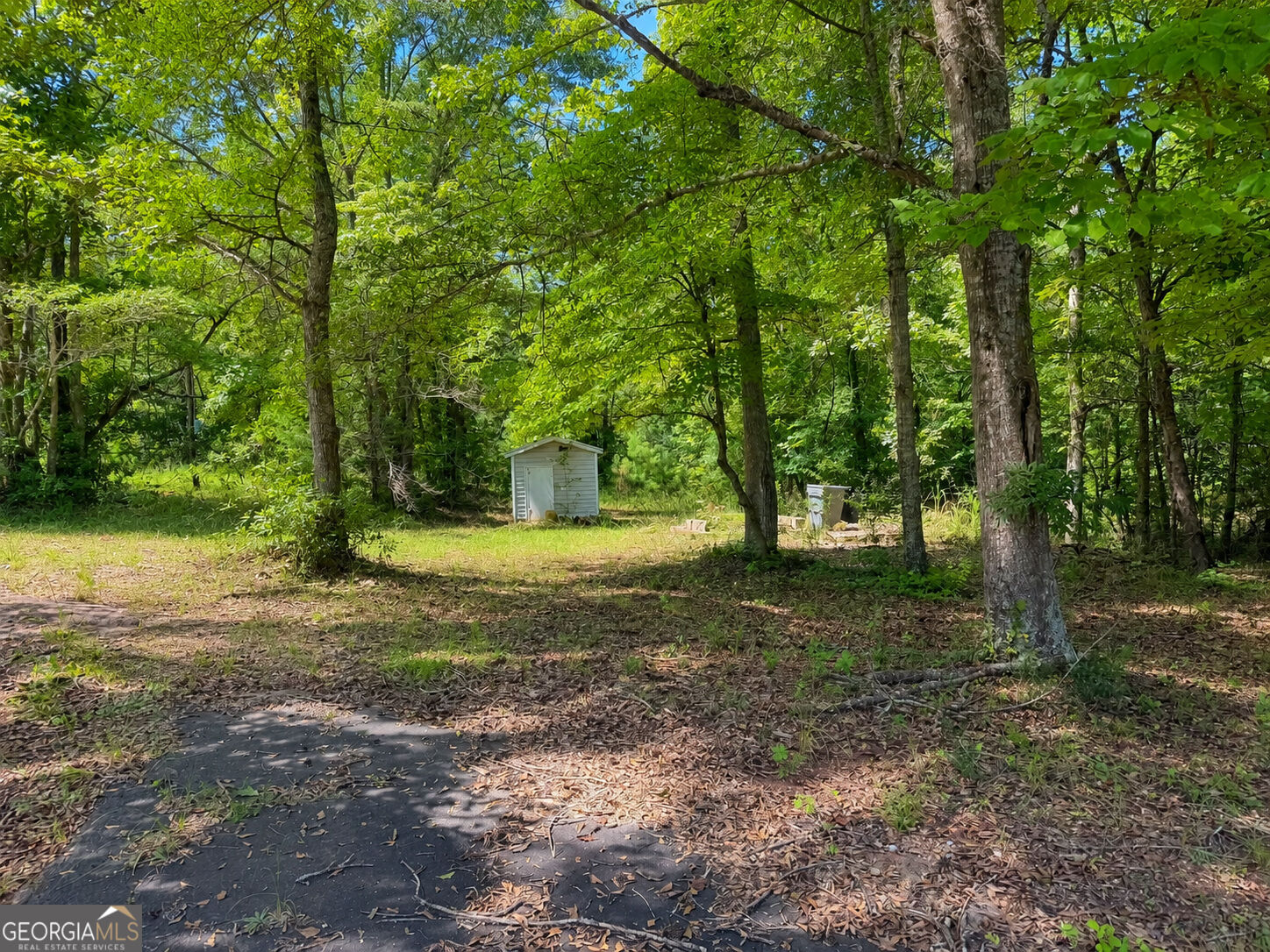 335 Springdale Road