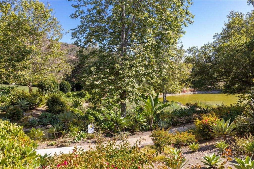 2453 Lapis Road