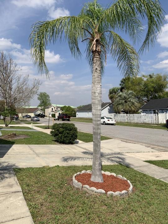 2364 PEBBLE BROOK ROAD