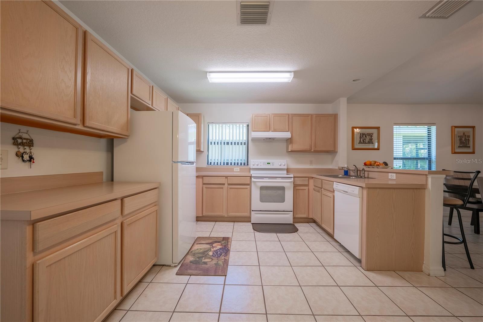 536 VIA DEL ORO DRIVE