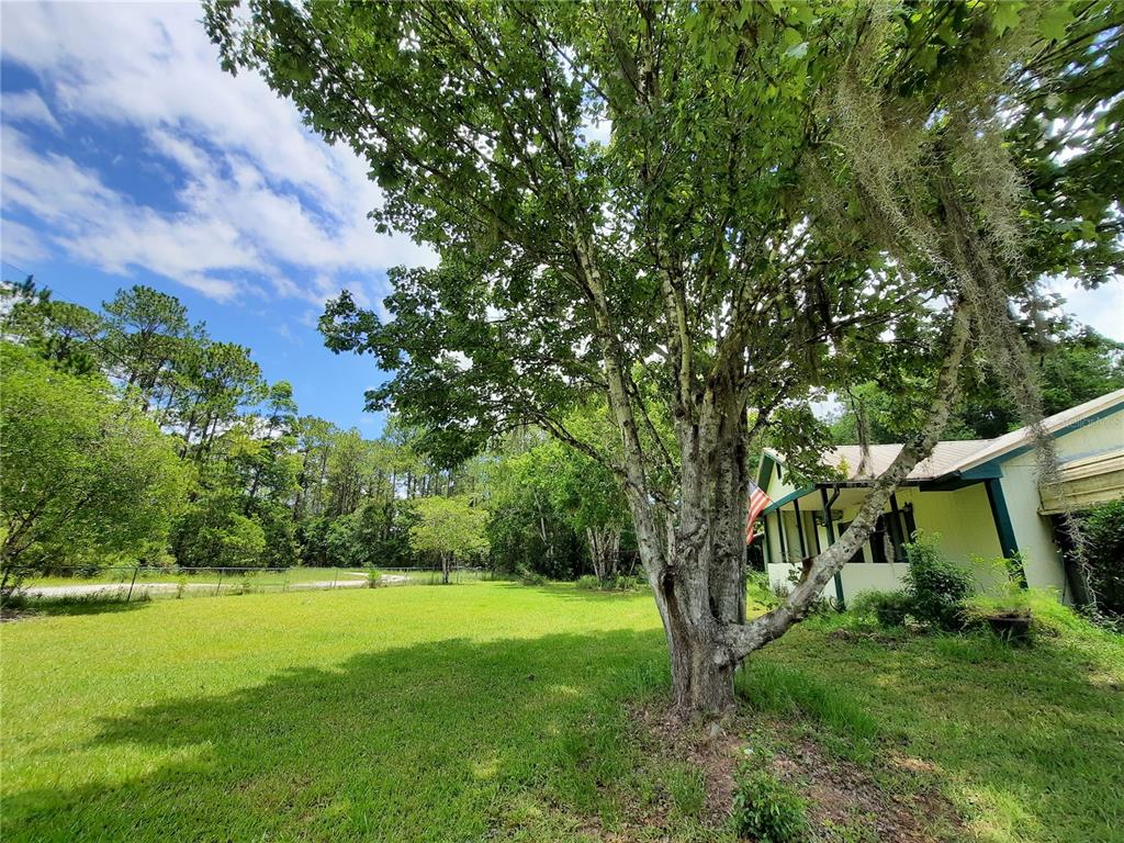 130 PALMETTO POINT LANE