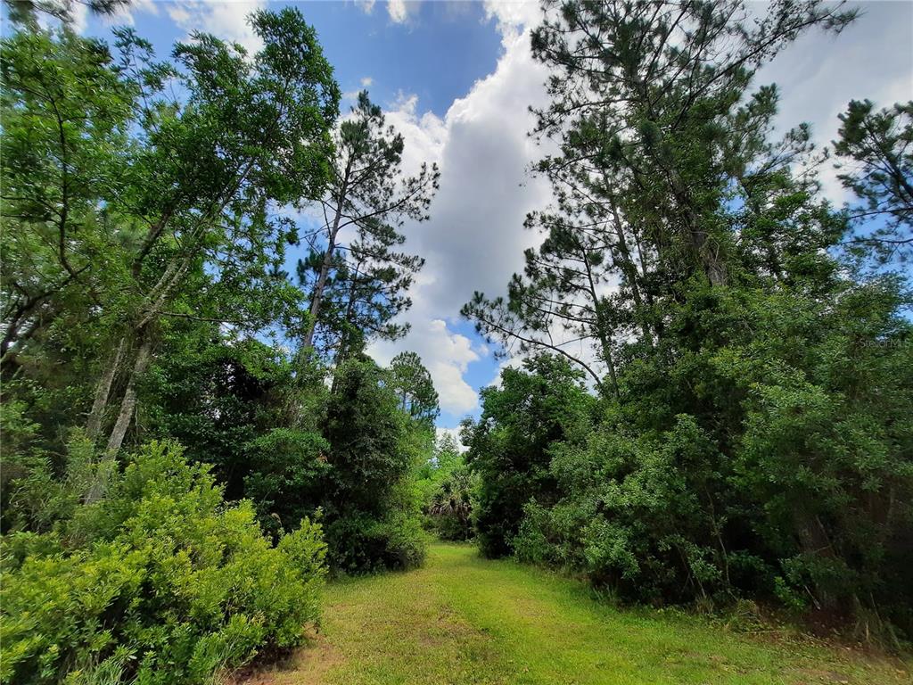 130 PALMETTO POINT LANE