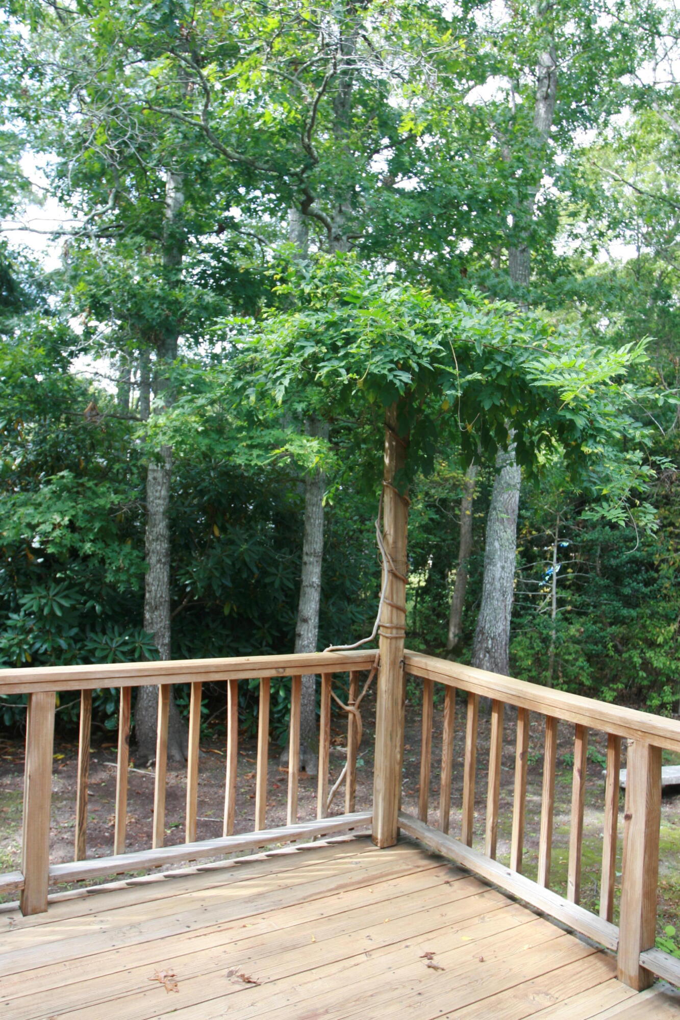 19 Oriole Lane