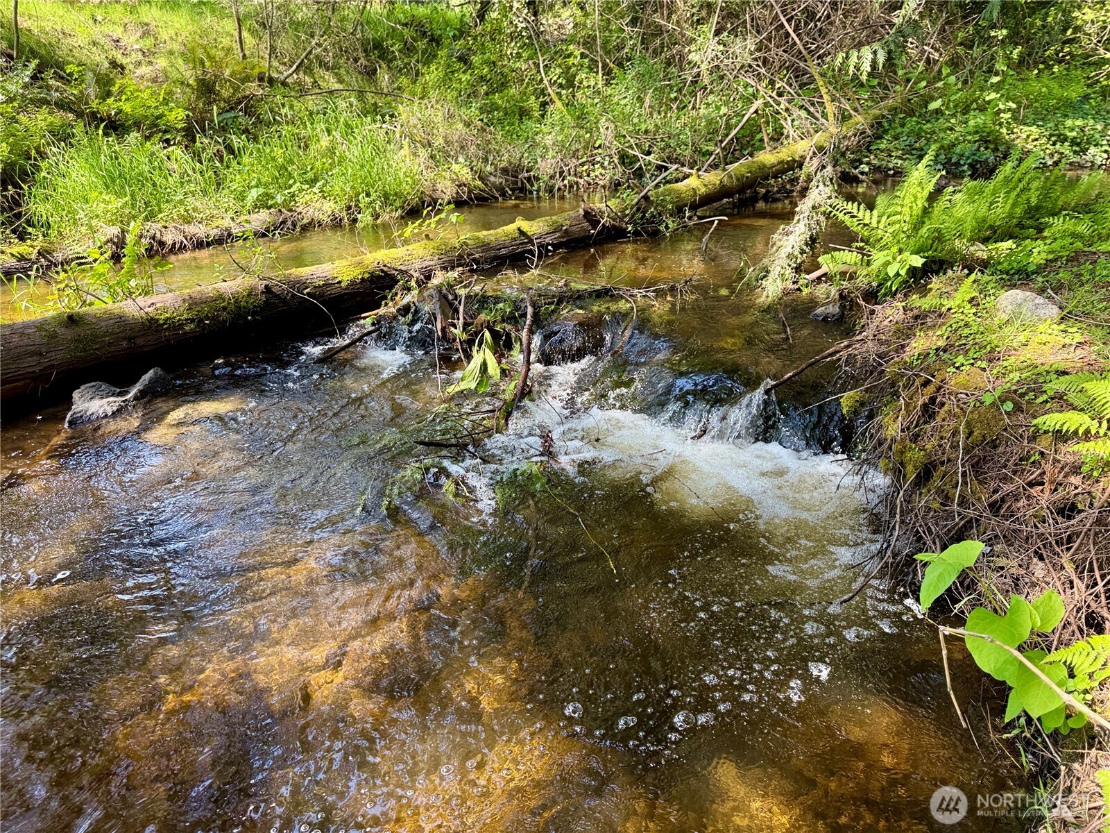 12607 Avondale Road NE