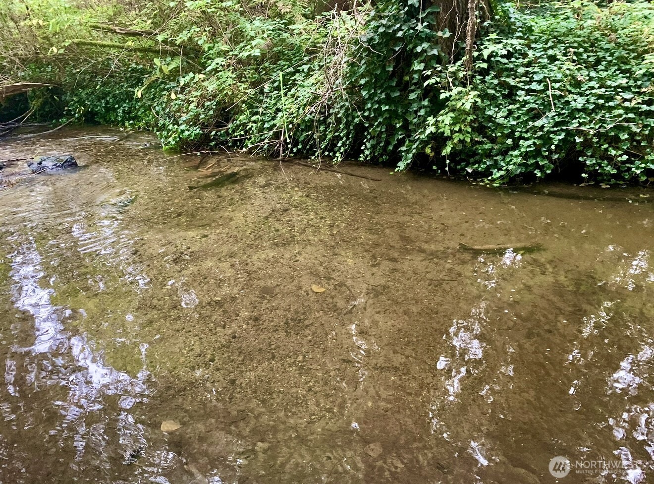 12607 Avondale Road NE