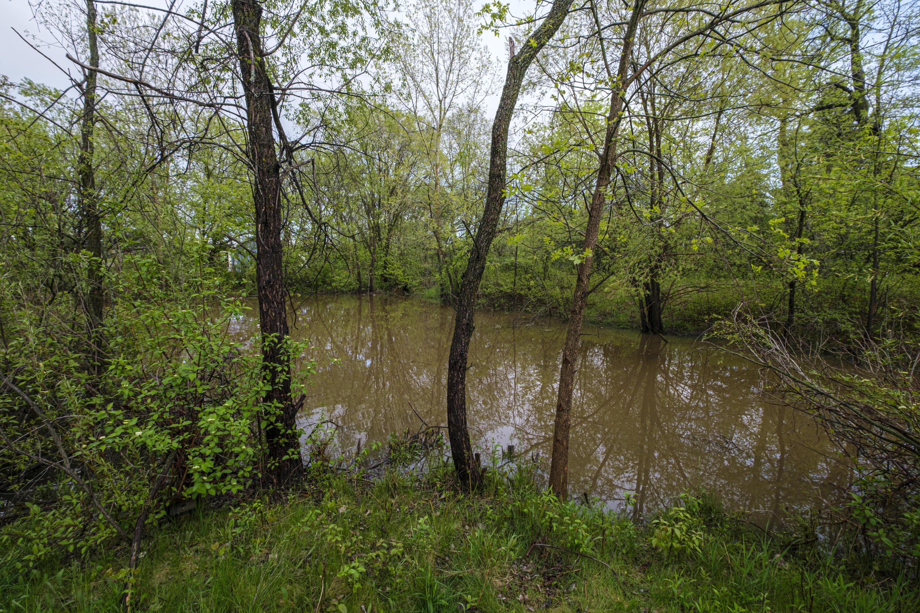 W141N4857 Golden Fields Ct