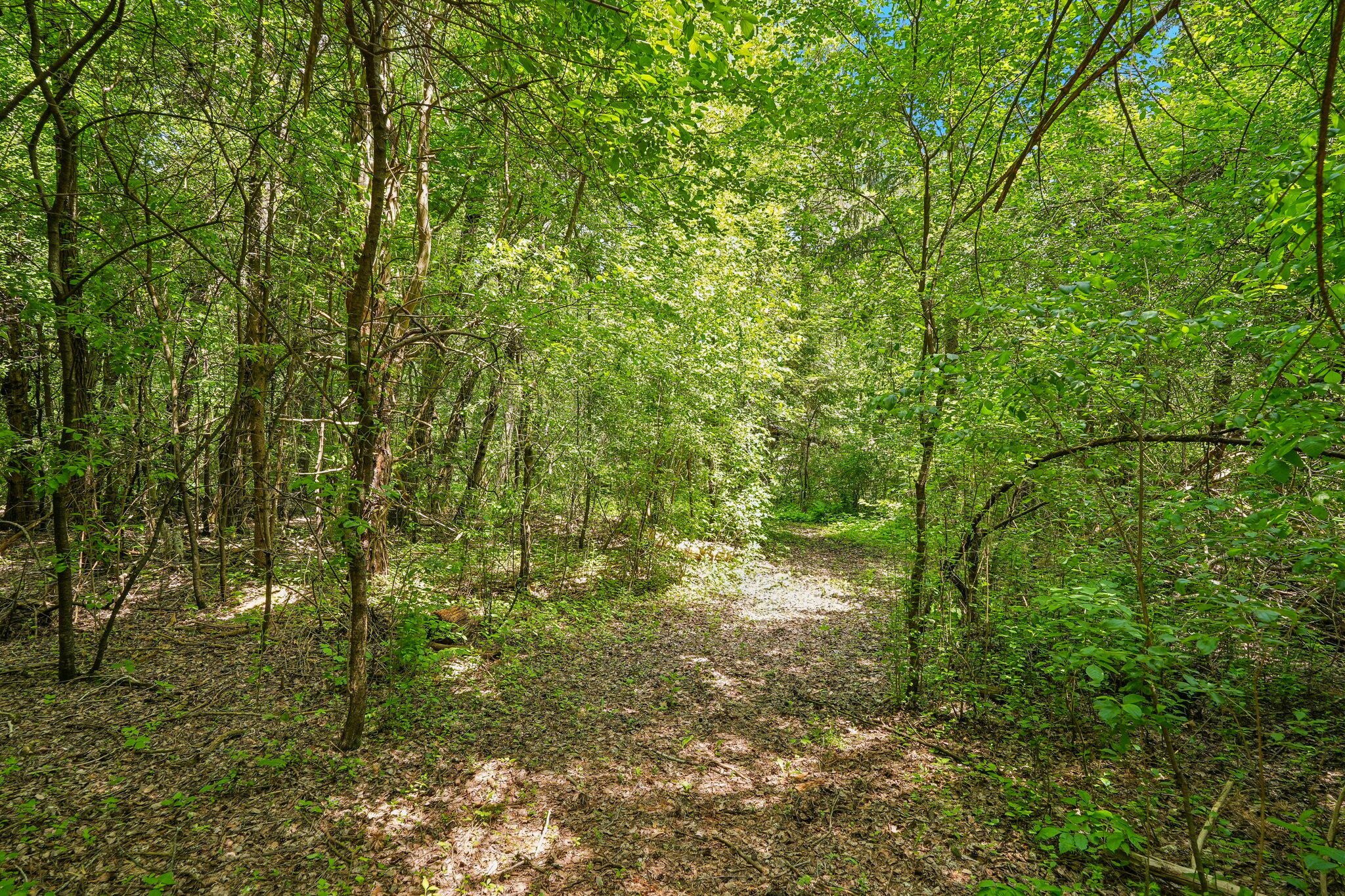 8040 W County Line Rd