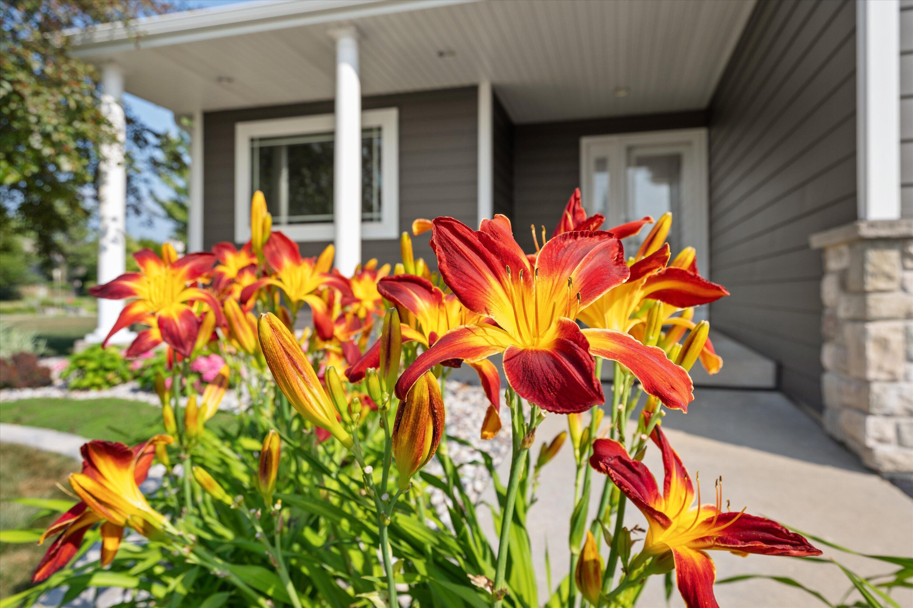 6413 Merganser Dr