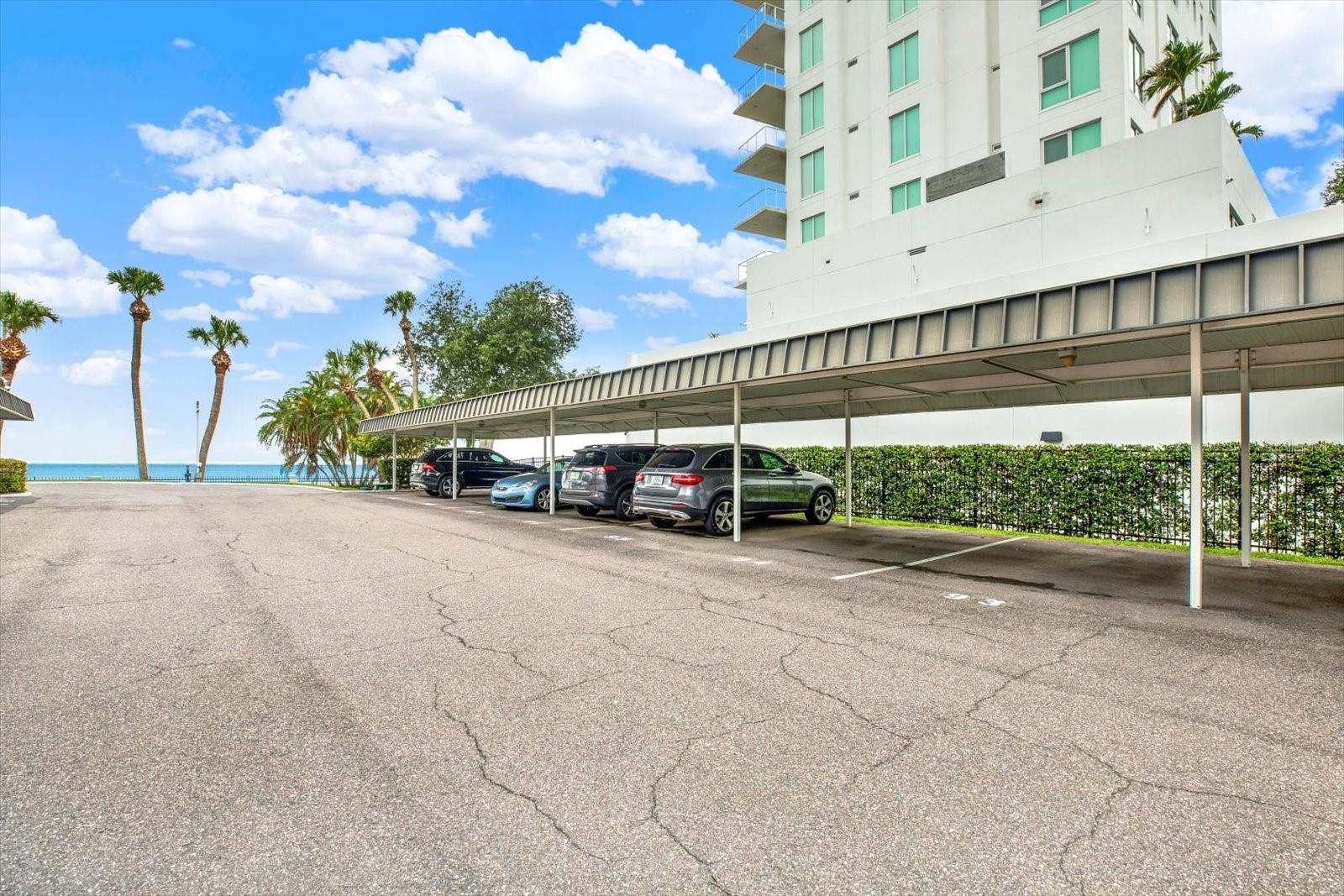 2611 BAYSHORE BLVD #1503