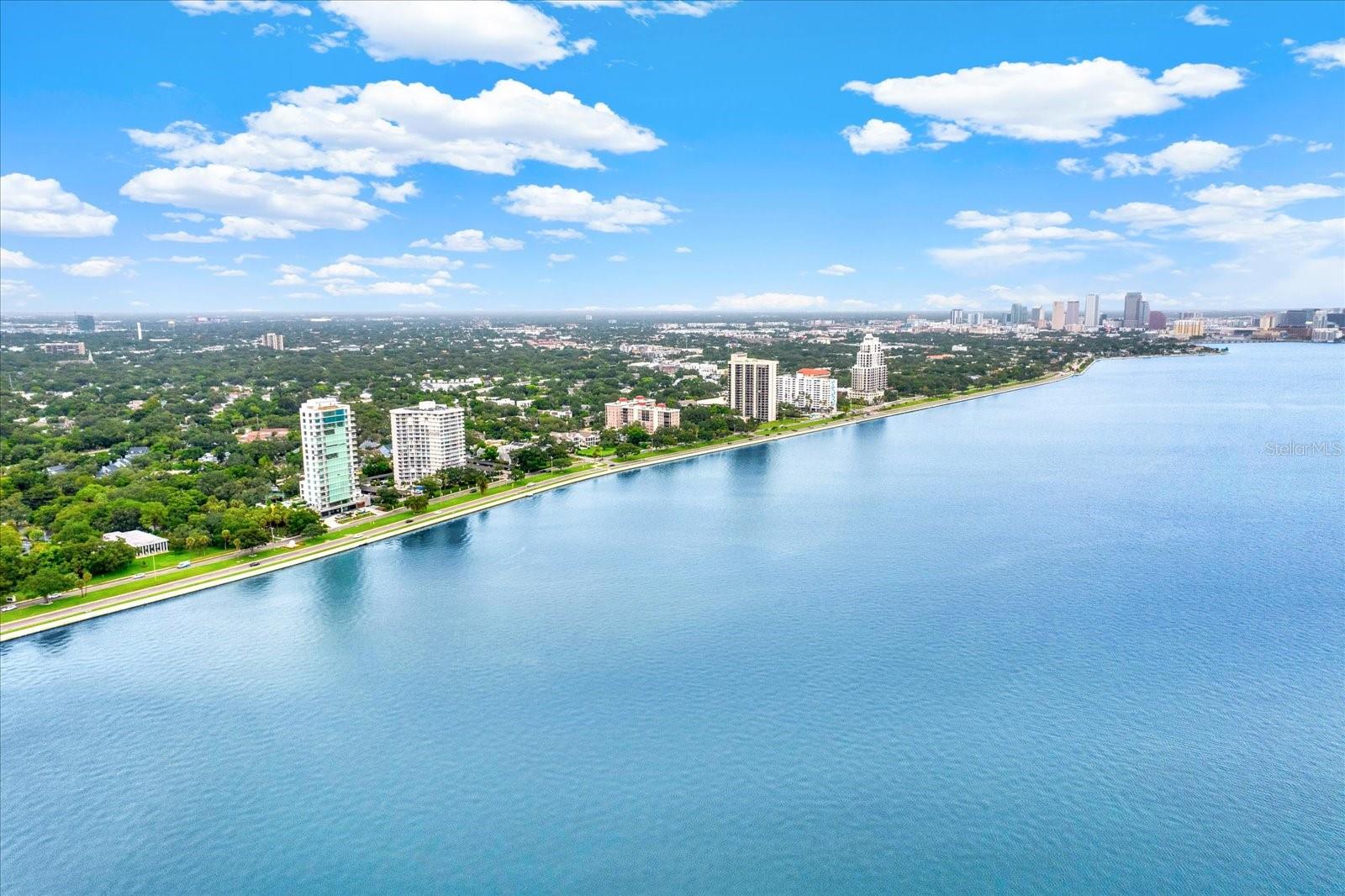 2611 BAYSHORE BLVD #1503