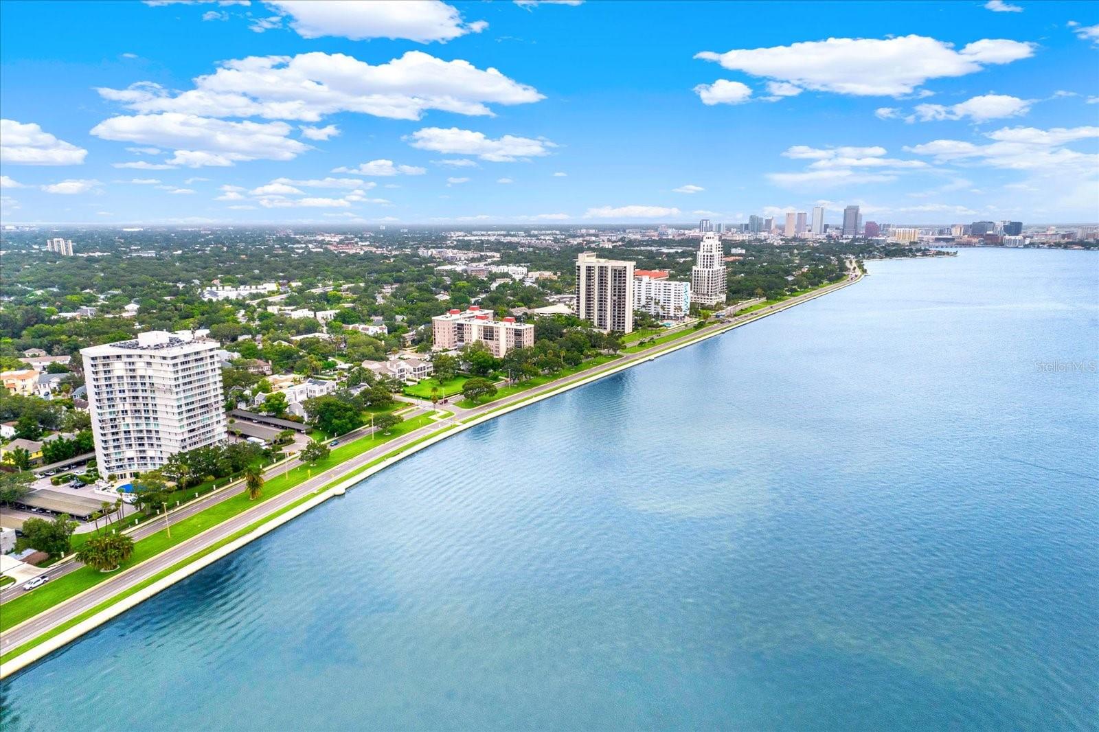 2611 BAYSHORE BLVD #1503