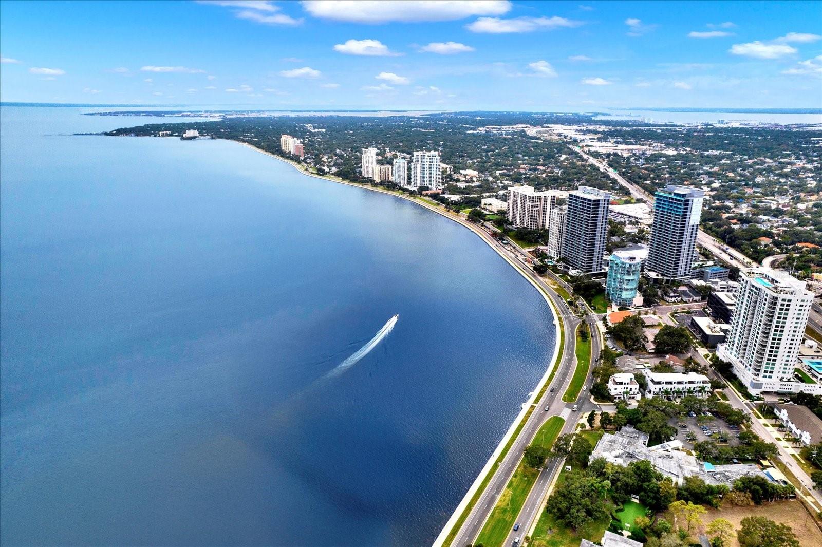 2611 BAYSHORE BLVD #501