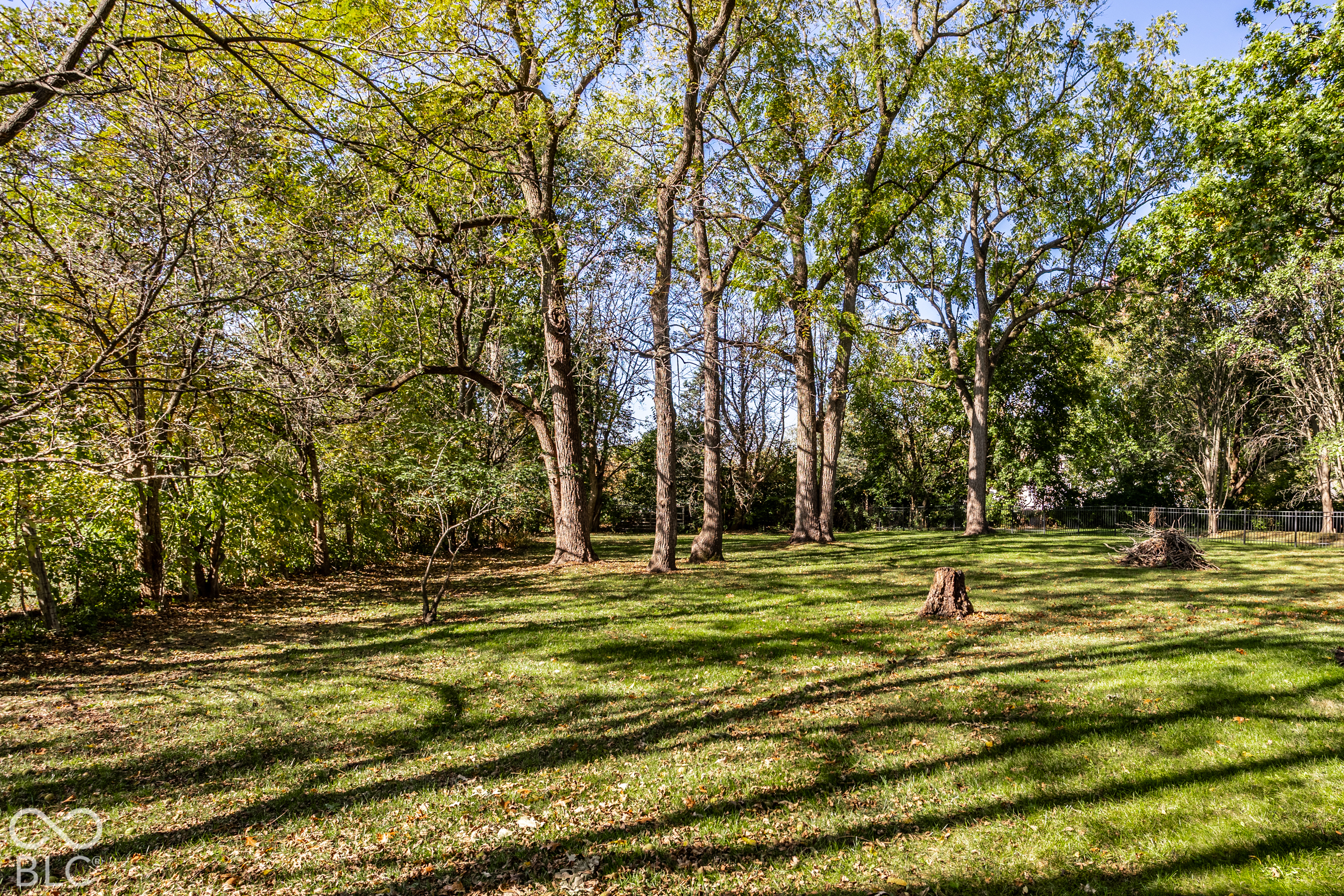 10356 High Grove