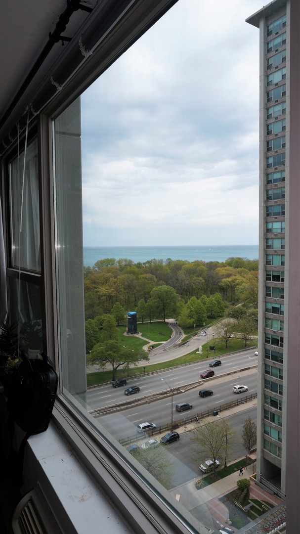 3600 N LAKE SHORE DRIVE UNIT: 1523