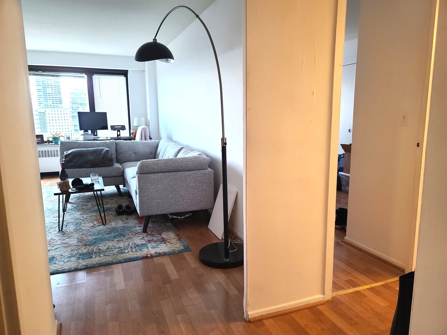 3100 N LAKE SHORE DRIVE UNIT: 1604