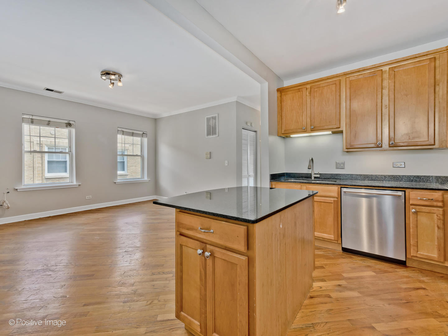 2416 W BRYN MAWR AVENUE UNIT: 3S