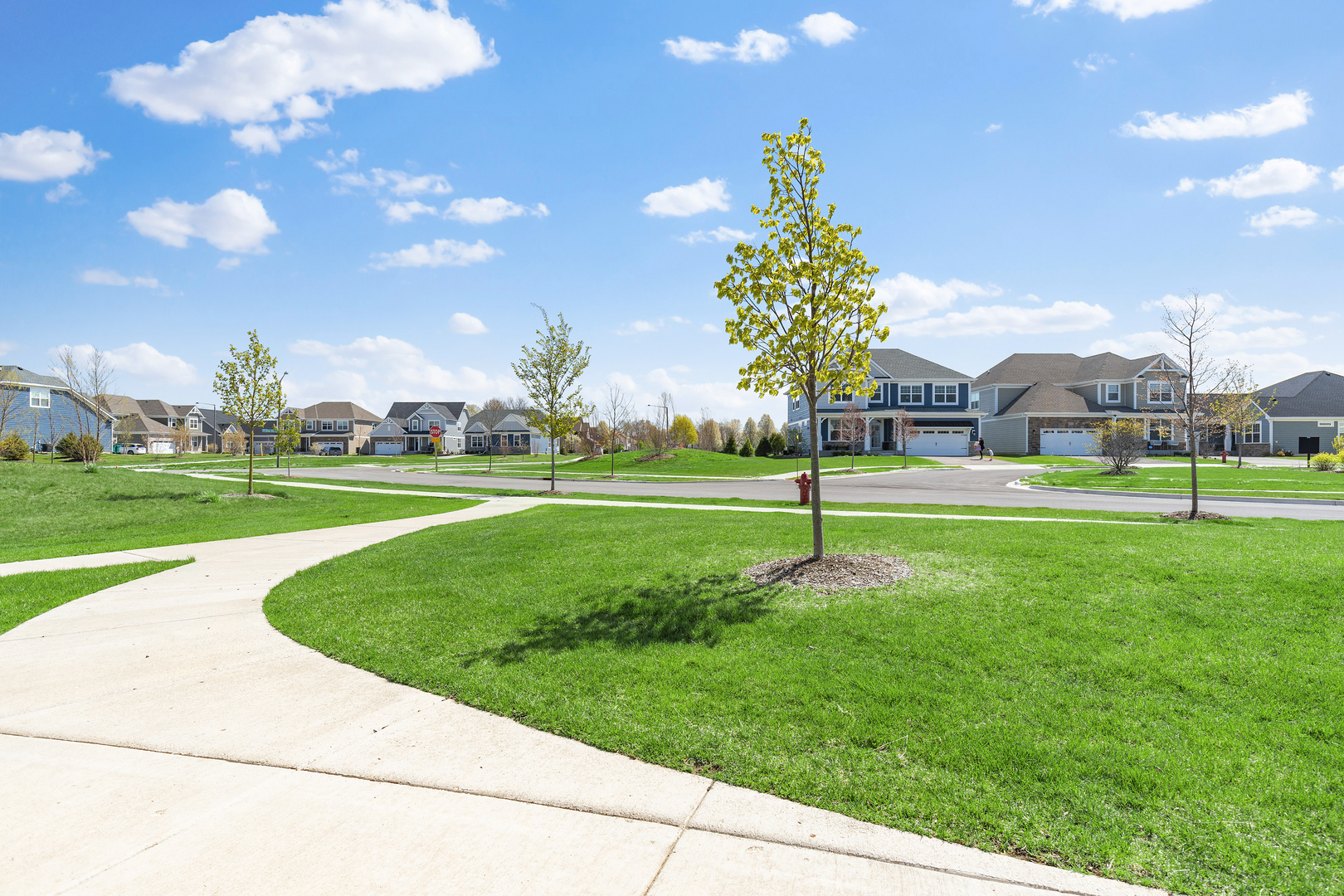 2038 Link Drive