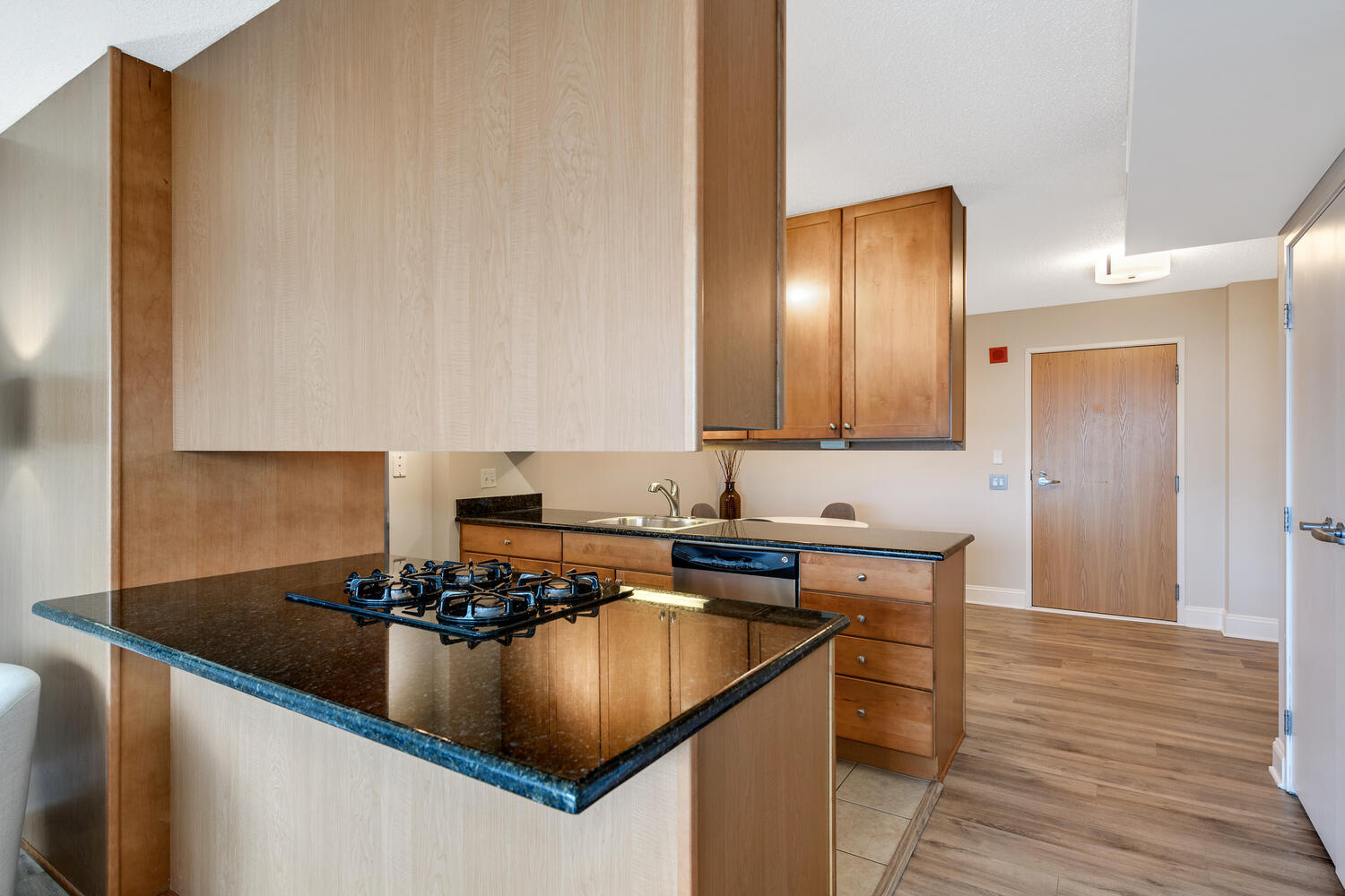 9715 Woods Drive Unit: 807