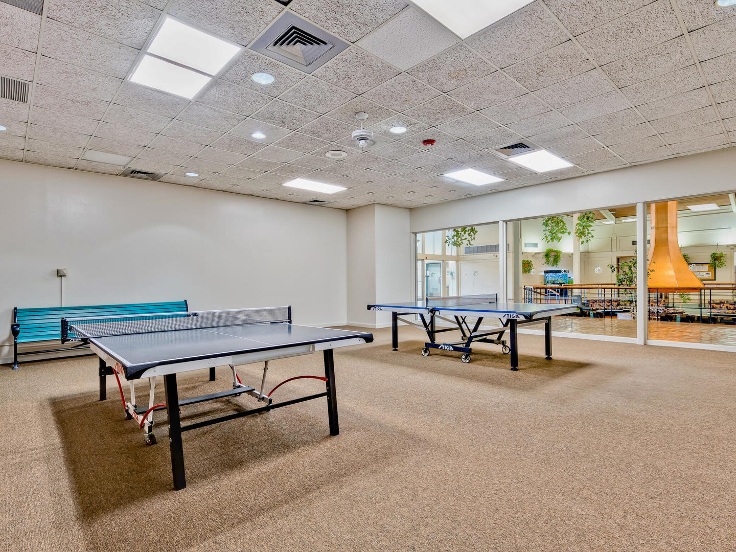 3925 Triumvera Drive Unit: 6C