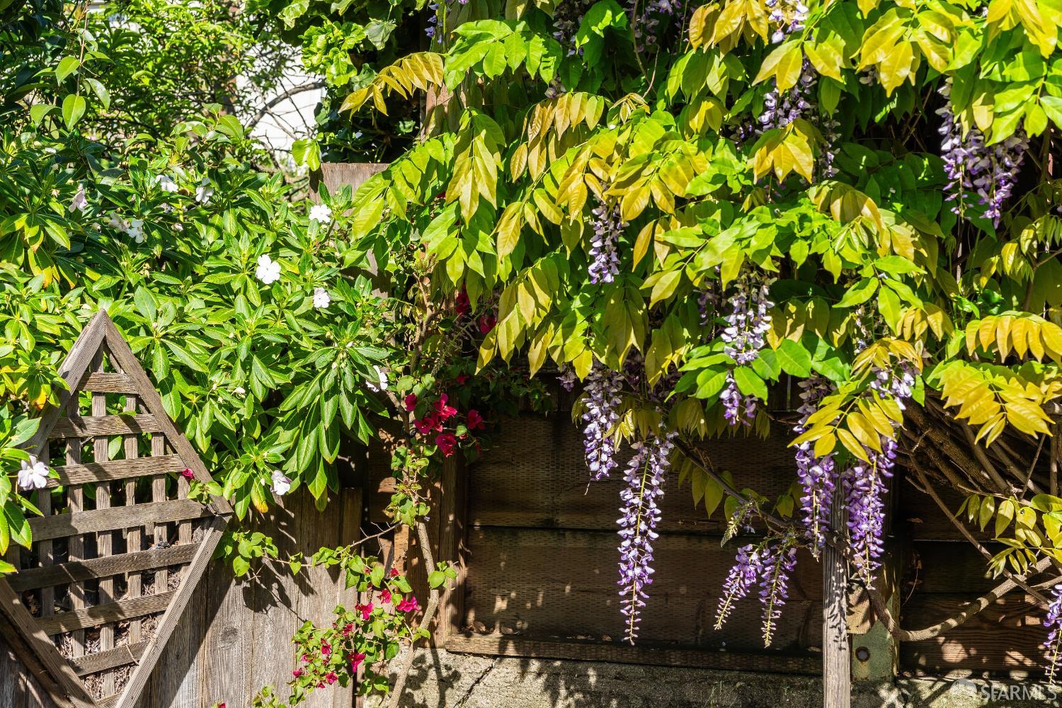 631 San Bruno Avenue