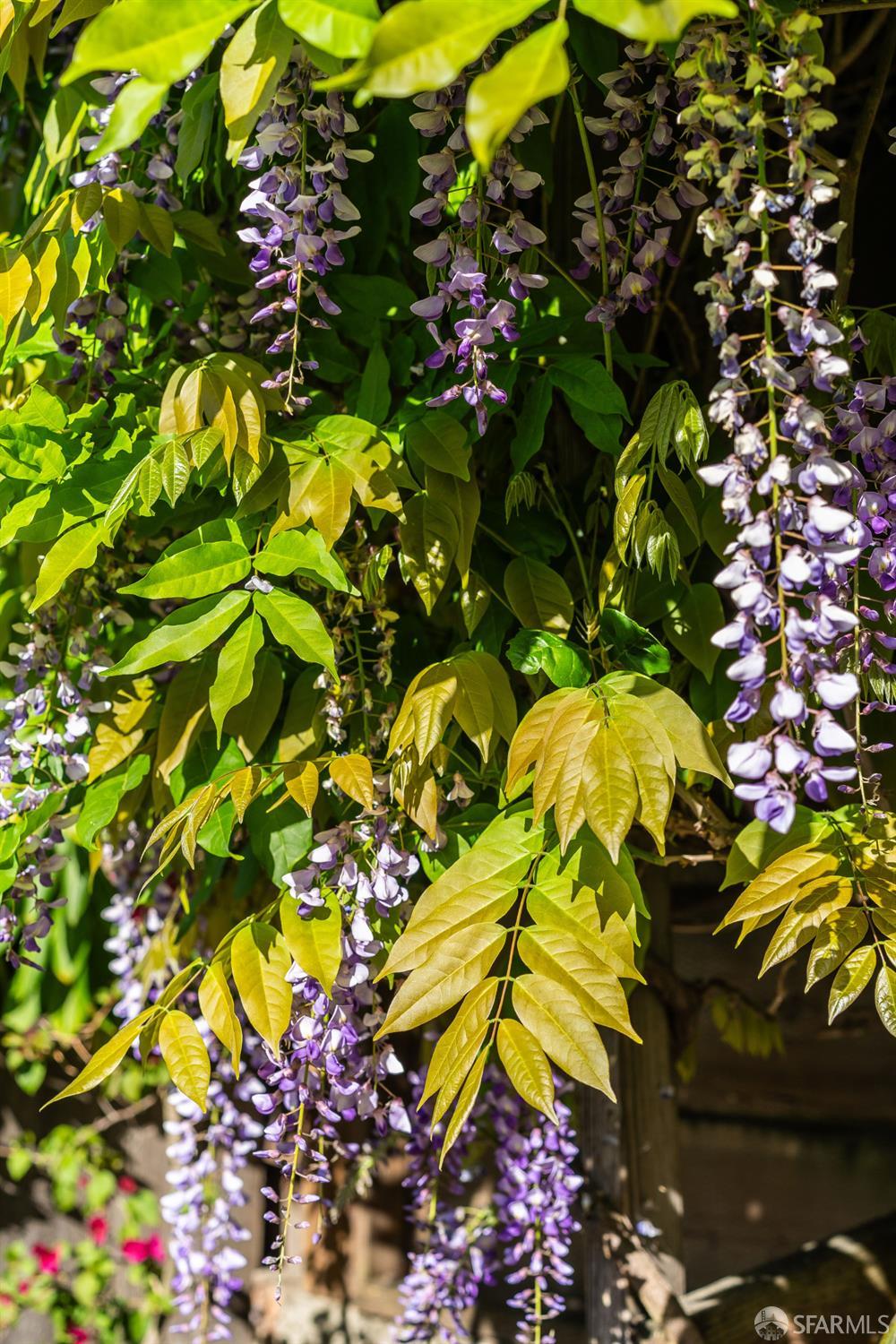 631 San Bruno Avenue