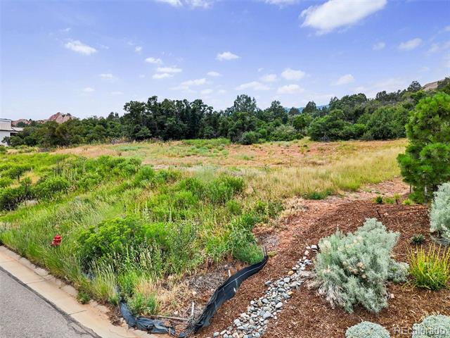 Vacant lot with tall grasses and shrubs beside a paved street, with trees in the distance.