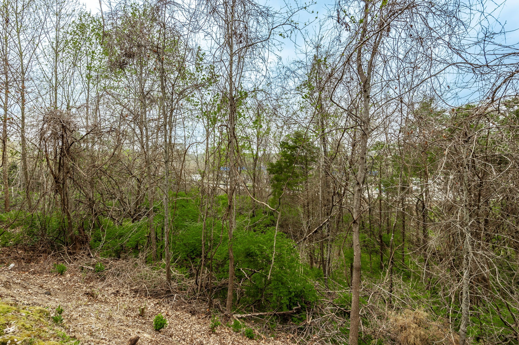 1009 Livingstone Ln