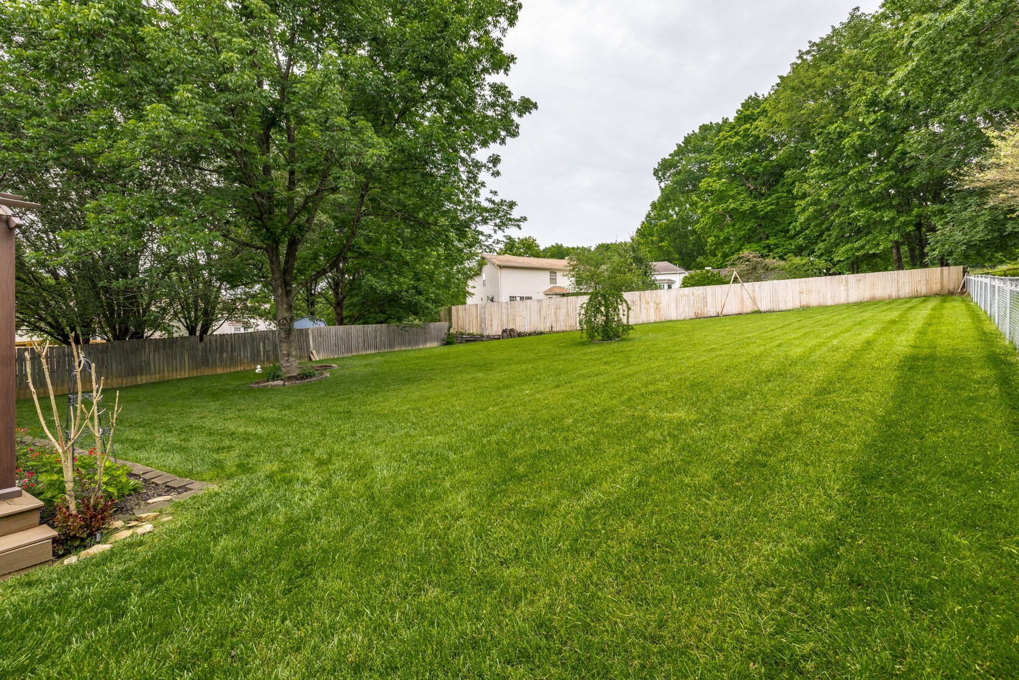 703 Cynthia Ct