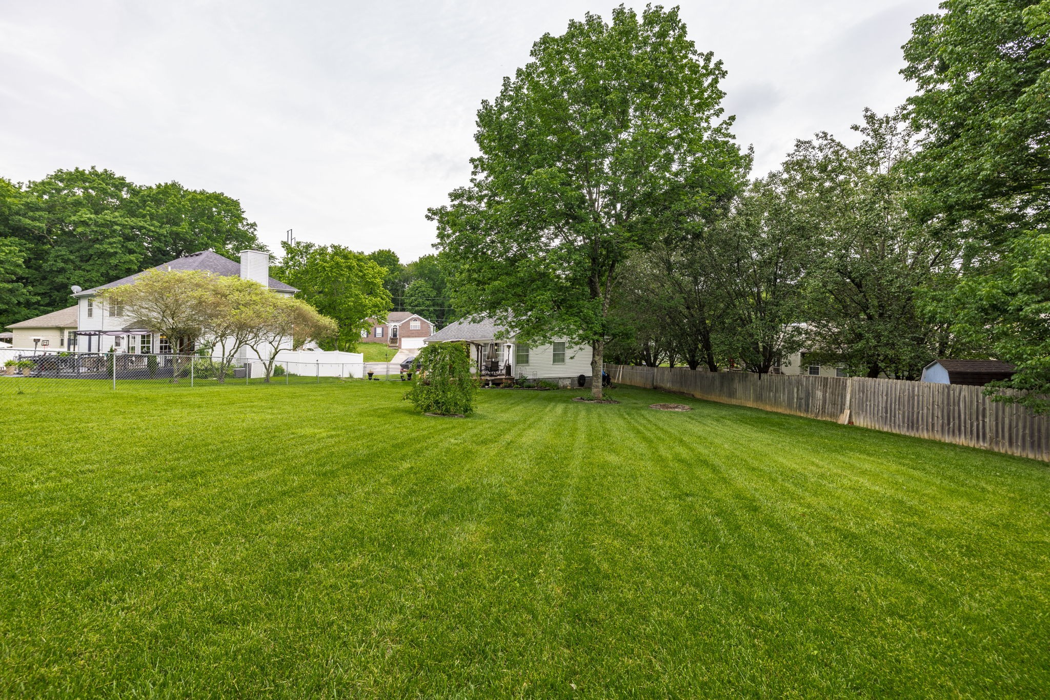 703 Cynthia Ct