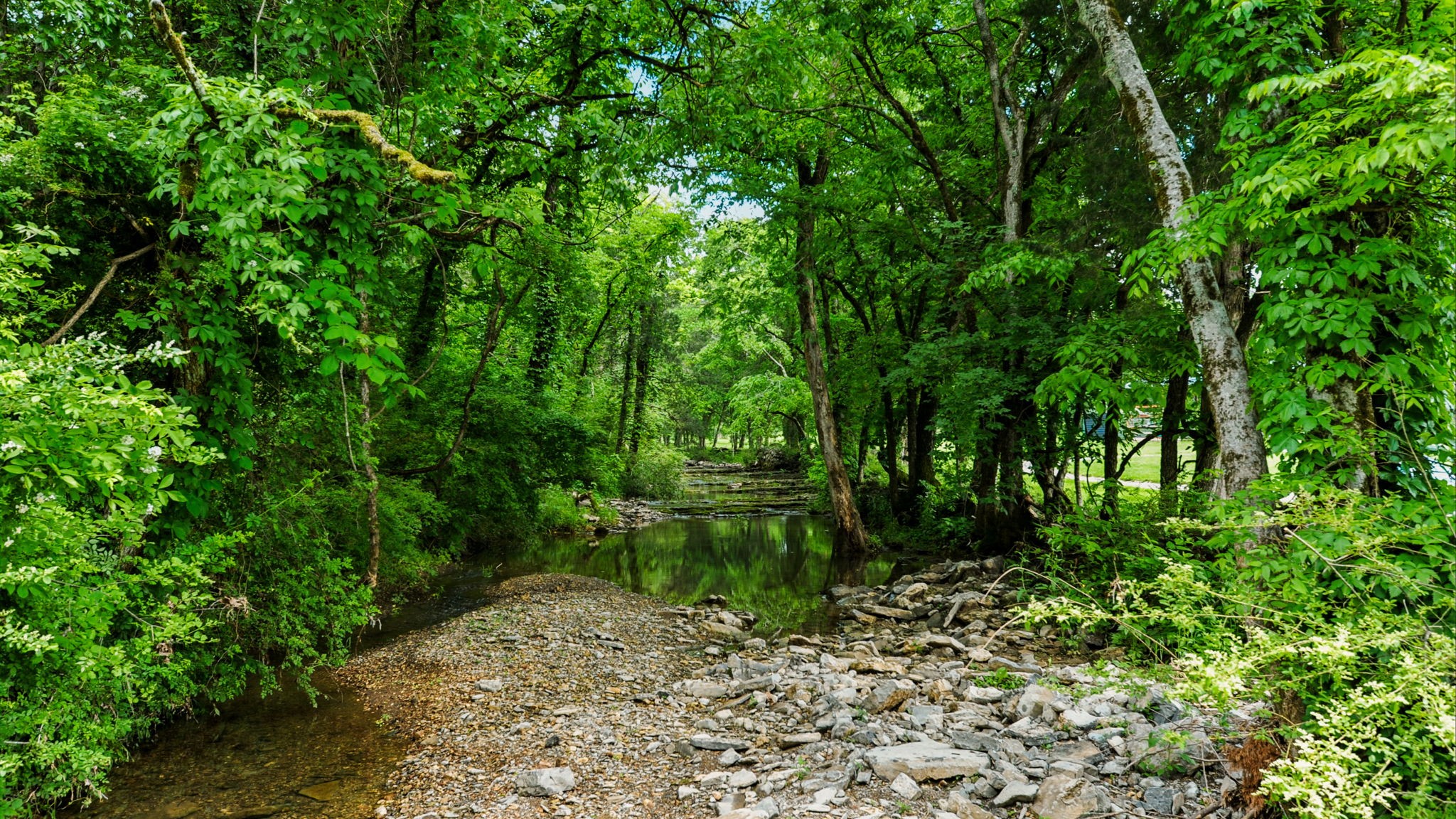 530 Glasgow Branch Rd