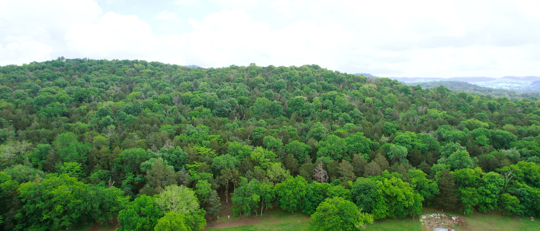 530 Glasgow Branch Rd