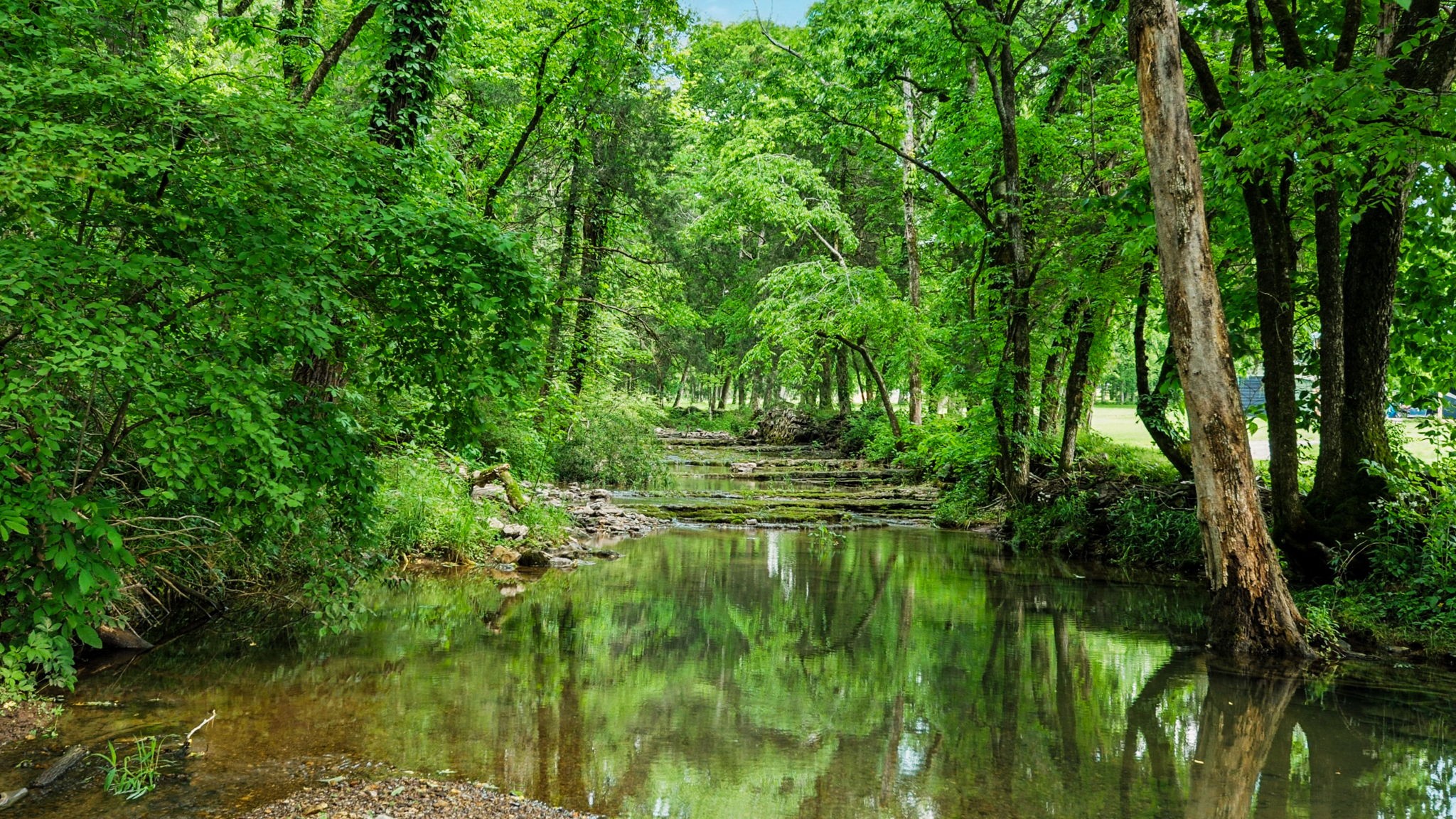 530 Glasgow Branch Rd