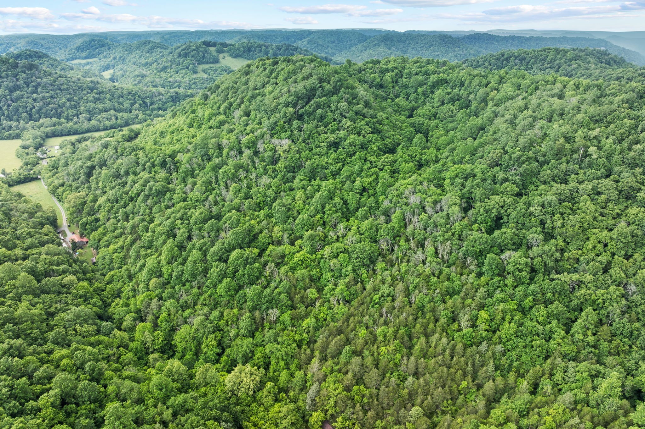 333 Cubbins Hollow Rd